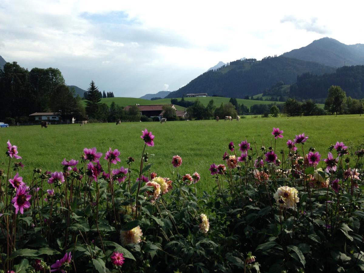 Bio-Bauernhof Bachangerhof Kössen 外观 照片