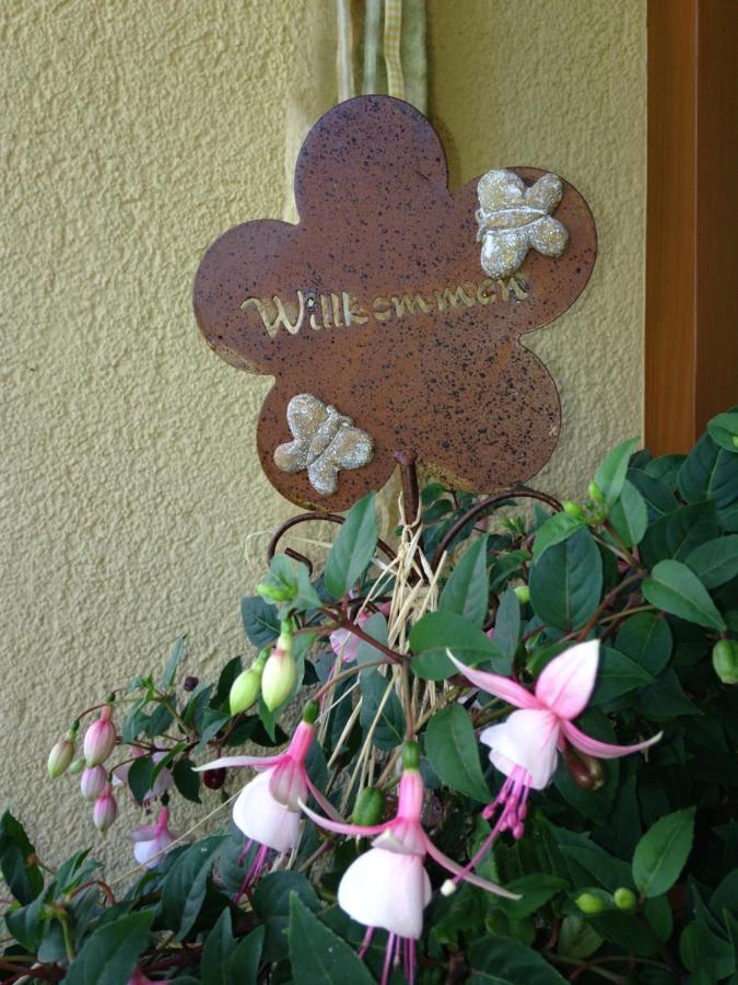 Bio-Bauernhof Bachangerhof Kössen 外观 照片