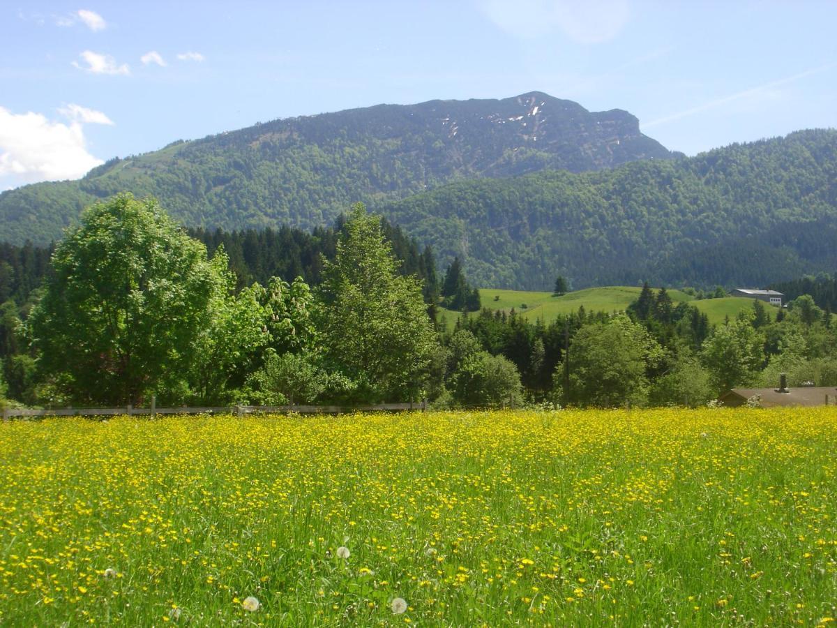 Bio-Bauernhof Bachangerhof Kössen 外观 照片