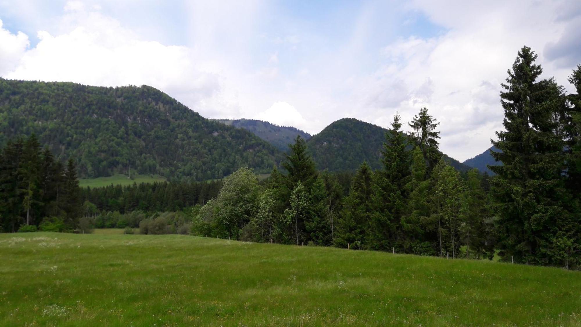 Bio-Bauernhof Bachangerhof Kössen 外观 照片
